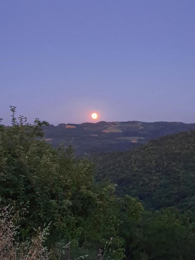 Cascina Brichat Alta Langa Serravalle delle Langhe Eksteriør bilde